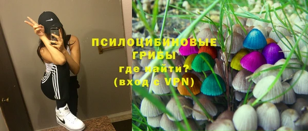 PSILOCYBIN Алексин