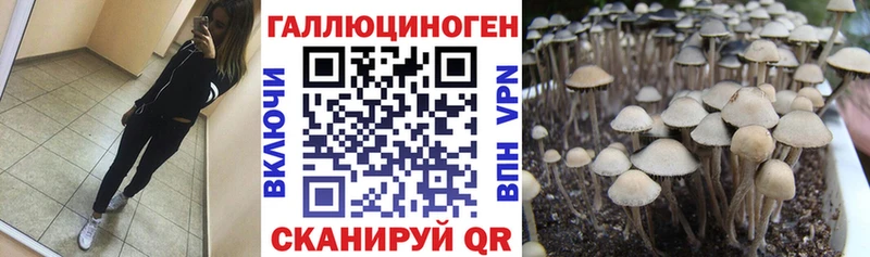 mega онион  Волгоград  Галлюциногенные грибы MAGIC MUSHROOMS 