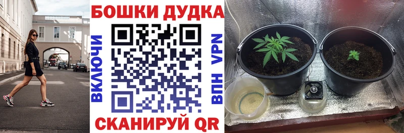 Марихуана SATIVA & INDICA  Волгоград 